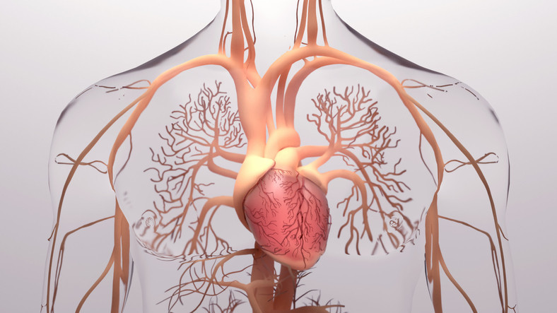 Cardiometabolic Summit – Webinaire à ne pas manquer !